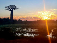 /album/fotogaleria-madagaskar-zajazd-vy-a-my1/madagaskar-zajazd-93-jpg2/